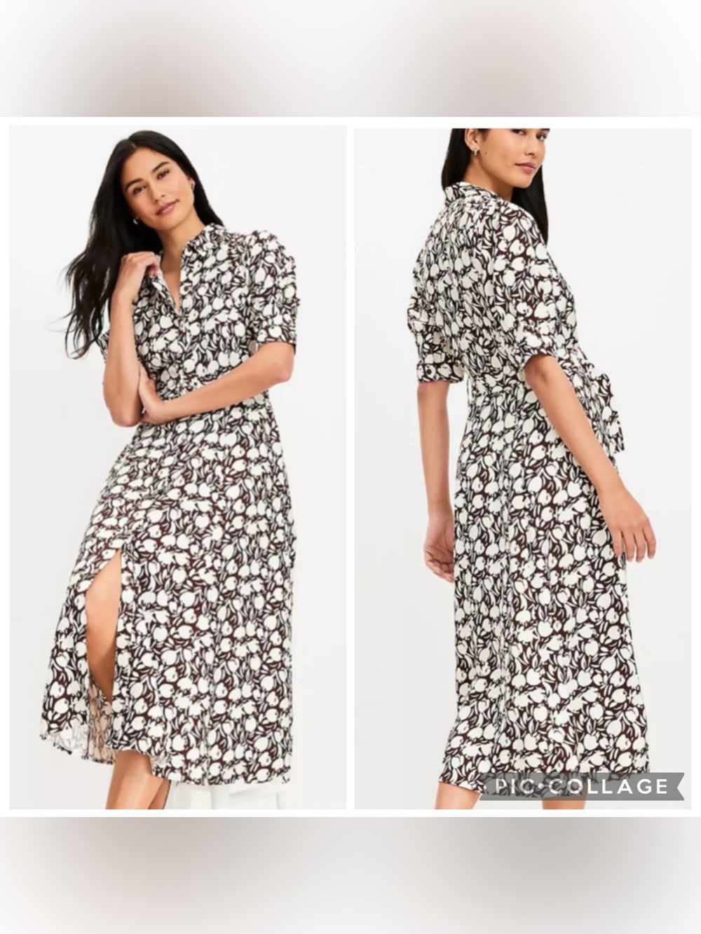 LOFT Button Front Brown Belted Raglan Collared Midi Dress Size 14